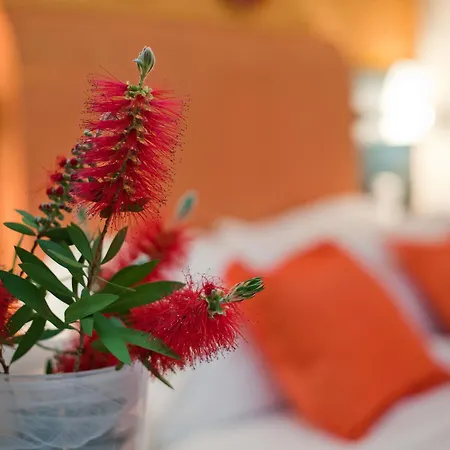 Apart-hotel Thymis Skiathos Town