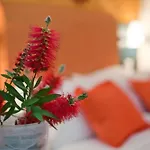 Lägenhetshotell Thymis Skiathos stad